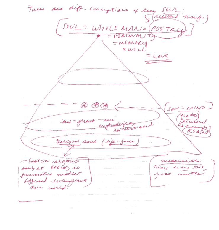 Victoria Trumbull — diagram
